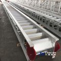 ladder-and-gangway.1