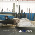 large-size-fpp.3