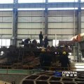 large-size-fpp.1