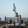 telescopic-boom-crane.3