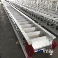 ladder-and-gangway.2