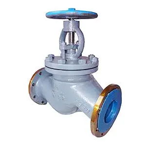 globe valve