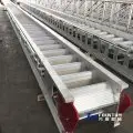ladder-and-gangway.1